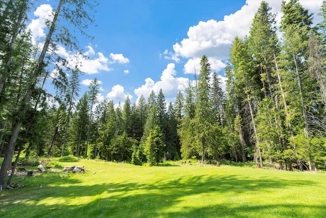 421 Swanson Lodge Rd, Troy, MT 59935 - view of green lawn featuring a view of trees