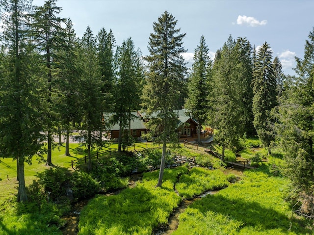 421 Swanson Lodge Rd, Troy, MT 59935 - view of yard