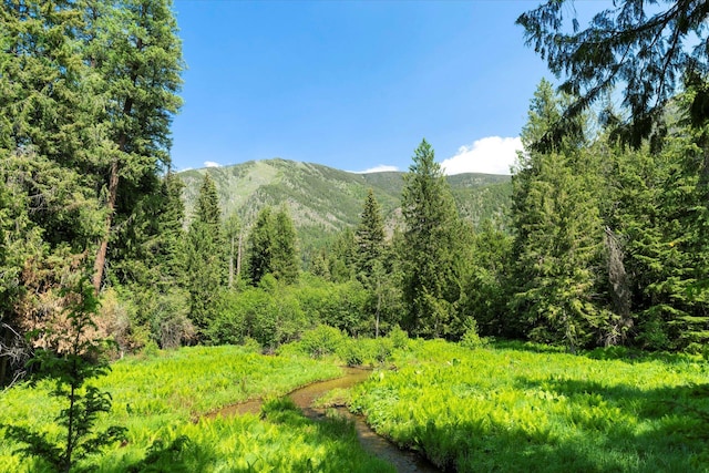 421 Swanson Lodge Rd, Troy, MT 59935 - view of mountain backdrop featuring a forest