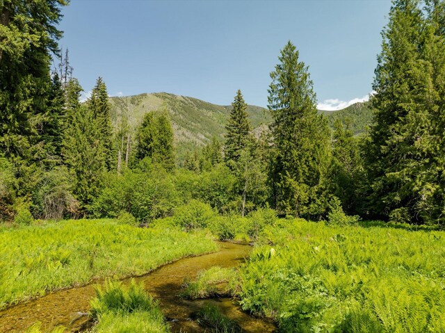 421 Swanson Lodge Rd, Troy, MT 59935 - view of mountain backdrop