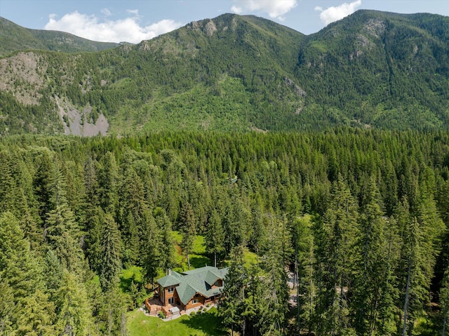 421 Swanson Lodge Rd, Troy, MT 59935 - view of mountain backdrop with a heavily wooded area