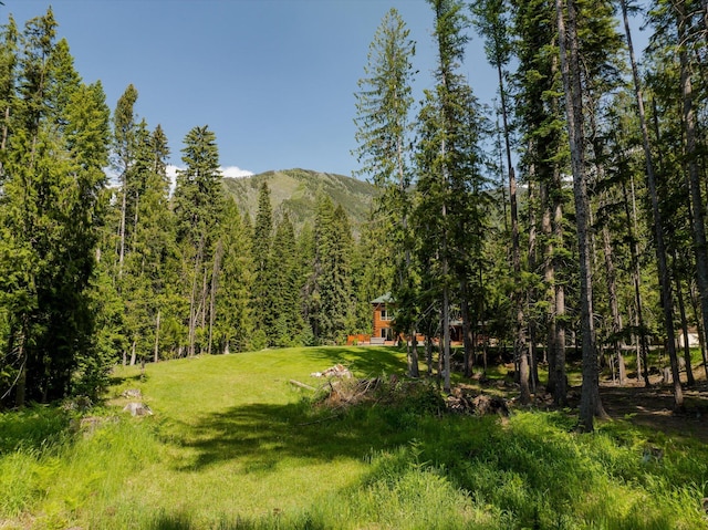 421 Swanson Lodge Rd, Troy, MT 59935 - view of green lawn featuring a mountain view and a view of trees
