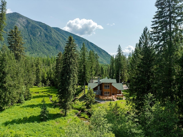 421 Swanson Lodge Rd, Troy, MT 59935 - mountain view with a forest