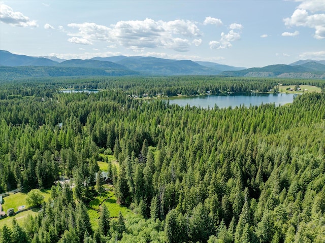 421 Swanson Lodge Rd, Troy, MT 59935 - bird's eye view of a heavily wooded area and a water and mountain view