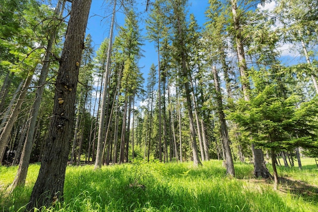 421 Swanson Lodge Rd, Troy, MT 59935 - view of wooded area