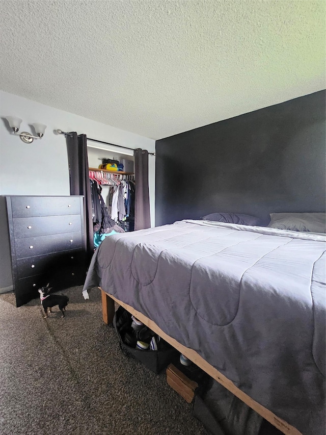 901 Rodgers St Unit 7, Missoula, MT 59802 - bedroom with carpet flooring, a textured ceiling, and a closet