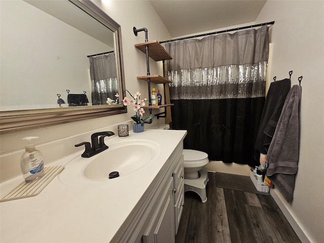 901 Rodgers St Unit 7, Missoula, MT 59802 - bathroom with vanity, wood finished floors, toilet, and a shower with curtain