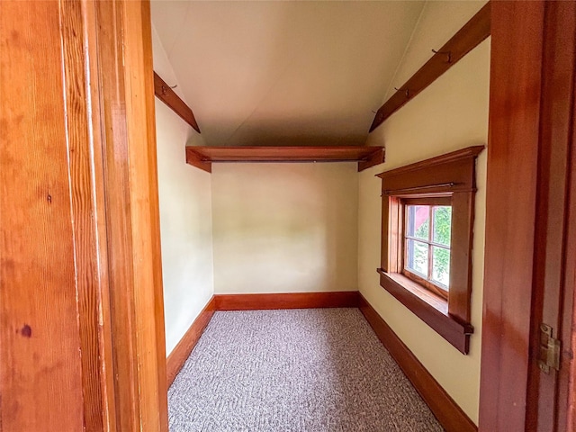 412 1st Ave E, Eureka, MT 59917 - spacious closet with vaulted ceiling and carpet floors