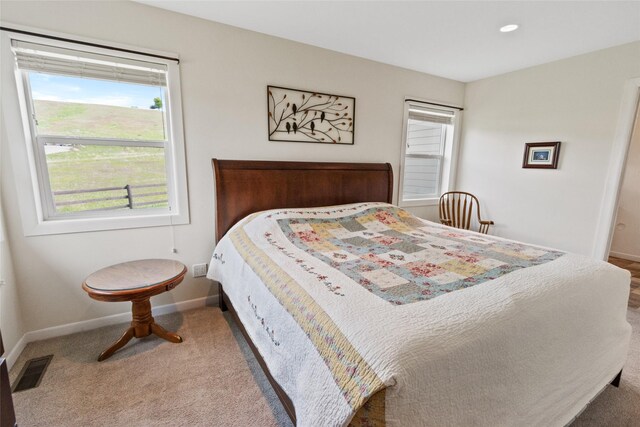 760 Lundeen Rd, Eureka, MT 59917 - bedroom featuring multiple windows, baseboards, carpet floors, and recessed lighting