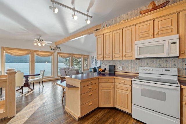 21347 Hydeaway Rd, Rollins, MT 59931 - kitchen with white appliances, a ceiling fan, dark wood-type flooring, and light brown cabinets