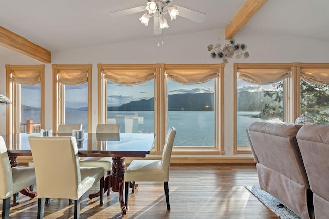 21347 Hydeaway Rd, Rollins, MT 59931 - dining area featuring plenty of natural light, wood finished floors, and ceiling fan