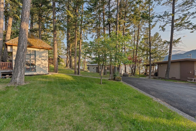 21347 Hydeaway Rd, Rollins, MT 59931 - view of grassy yard with driveway