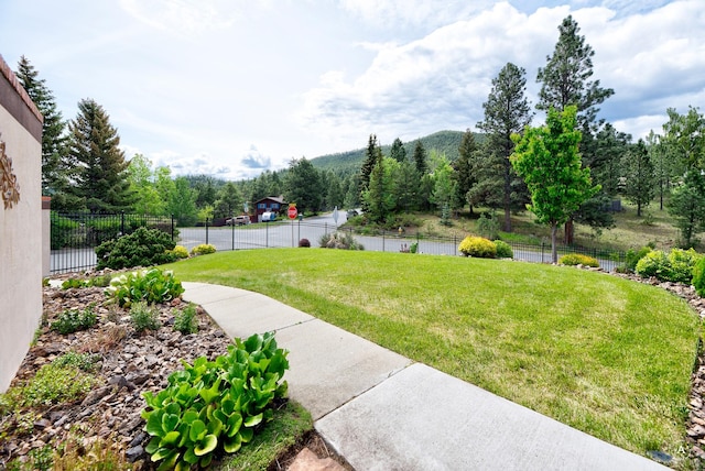 1644 Gold Rush Ave, Helena, MT 59601 - view of yard