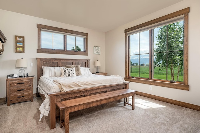 45331 Turnquist Rd, Ronan, MT 59864 - bedroom with carpet, multiple windows, and baseboards