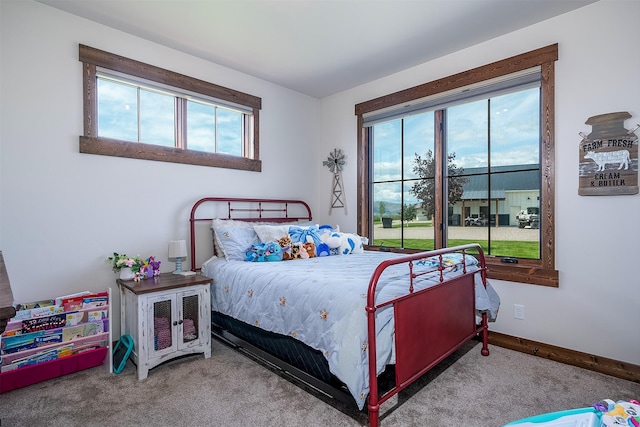 45331 Turnquist Rd, Ronan, MT 59864 - bedroom with carpet floors and baseboards