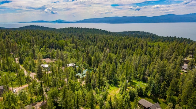 695 Latigo Ln, Bigfork, MT 59911