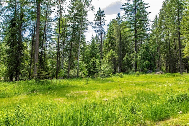 695 Latigo Ln, Bigfork, MT 59911