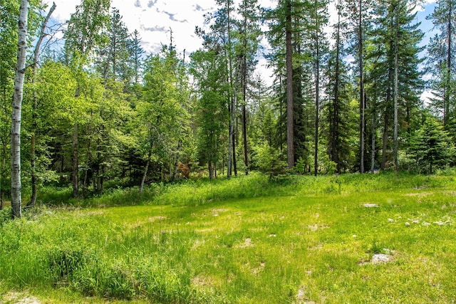 695 Latigo Ln, Bigfork, MT 59911