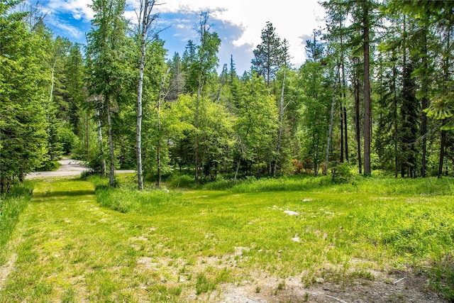 695 Latigo Ln, Bigfork, MT 59911