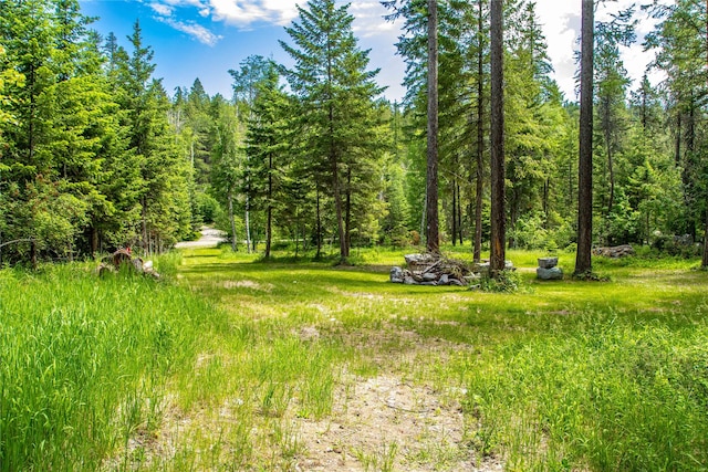 695 Latigo Ln, Bigfork, MT 59911