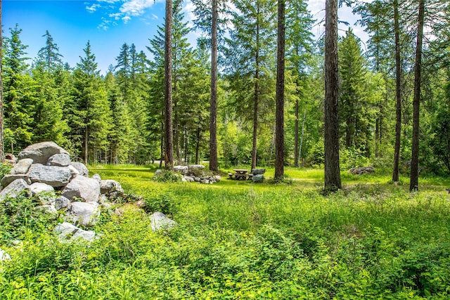695 Latigo Ln, Bigfork, MT 59911
