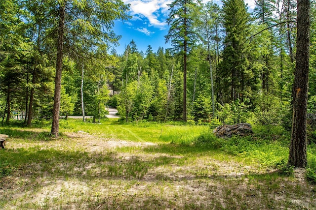 695 Latigo Ln, Bigfork, MT 59911