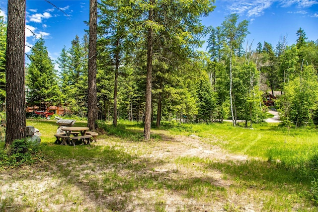 695 Latigo Ln, Bigfork, MT 59911