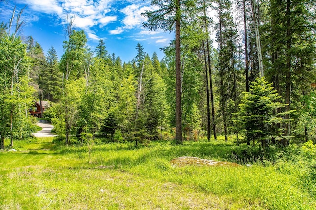 695 Latigo Ln, Bigfork, MT 59911