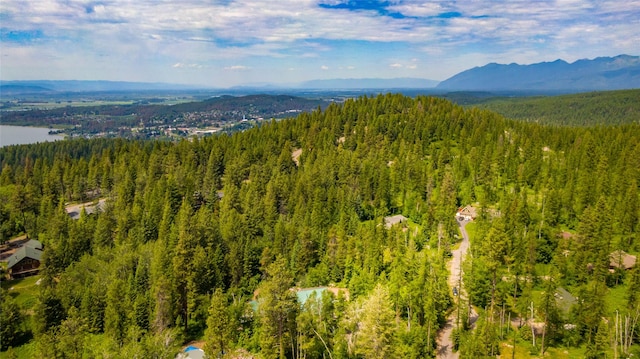 695 Latigo Ln, Bigfork, MT 59911