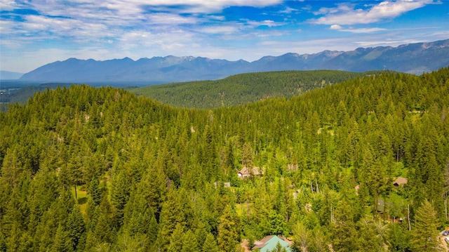 695 Latigo Ln, Bigfork, MT 59911