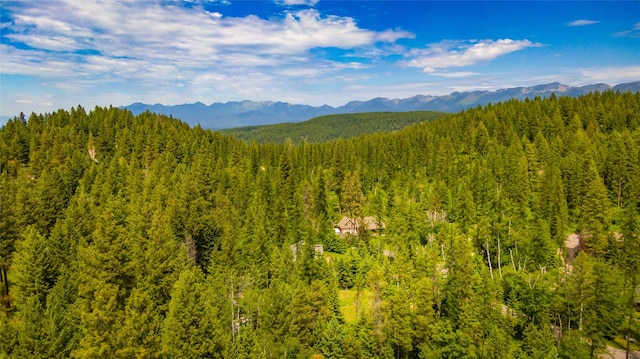 695 Latigo Ln, Bigfork, MT 59911