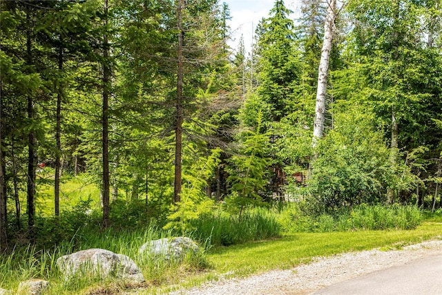 695 Latigo Ln, Bigfork, MT 59911