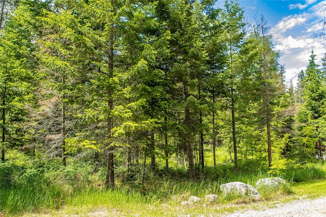 695 Latigo Ln, Bigfork, MT 59911