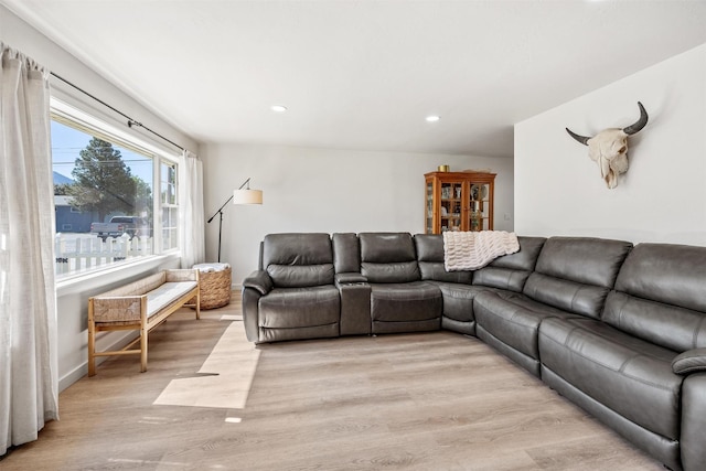 3301 Albany Ave, Butte, MT 59701 - living area with light wood-type flooring and recessed lighting