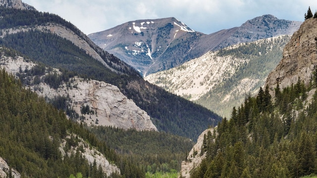 2055 Teton Canyon Rd, Choteau, MT 59422 - view of mountain backdrop featuring a forest