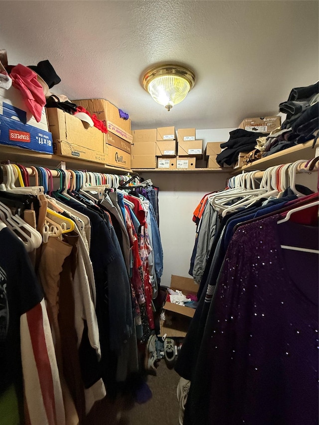 306 E Missoula Ave, Troy, MT 59935 - walk in closet with carpet flooring