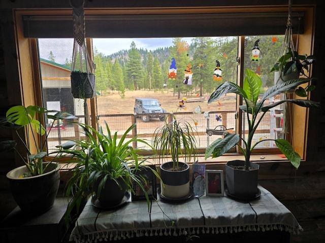 223 E G St, Sula, MT 59871 - detailed view of a forest