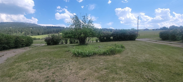 30543 Walking Horse Ln, Big Arm, MT 59910 - office space with healthy amount of natural light