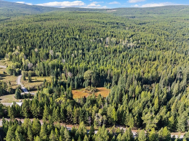 198 Tamarack Ln, Rexford, MT 59930