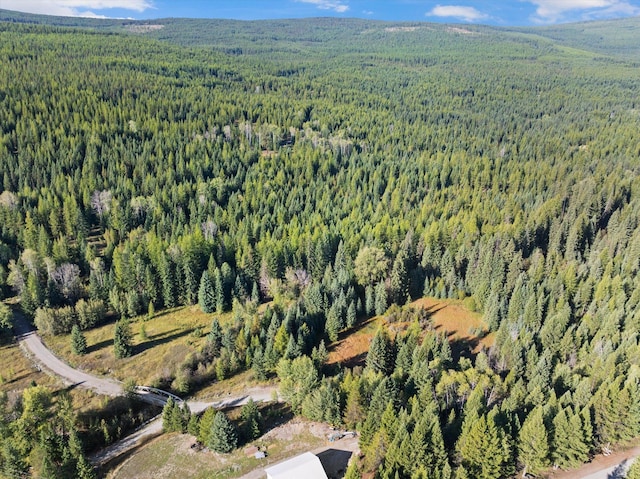 198 Tamarack Ln, Rexford, MT 59930