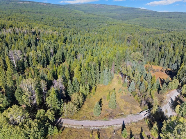 198 Tamarack Ln, Rexford, MT 59930