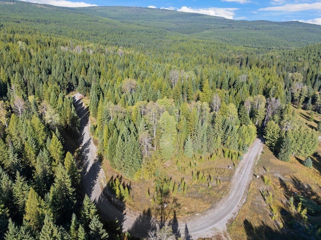 198 Tamarack Ln, Rexford, MT 59930