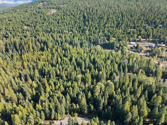 198 Tamarack Ln, Rexford, MT 59930