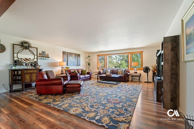 2623 Gold Rush Ave, Helena, MT 59601 - living room featuring wood finished floors