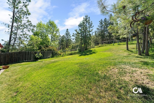 2623 Gold Rush Ave, Helena, MT 59601 - view of yard