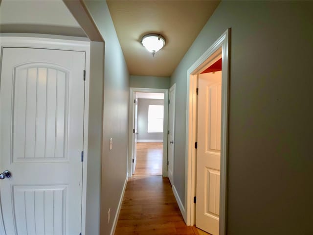 1109 Wyoming St, Belgrade, MT 59714 - hall featuring wood finished floors and baseboards