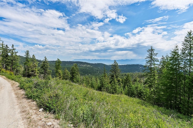 298 Lone Wolf Trl, Lakeside, MT 59922 - view of mountain background featuring a forest