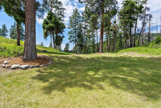 298 Lone Wolf Trl, Lakeside, MT 59922 - view of green lawn