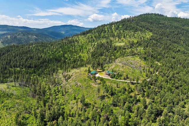 298 Lone Wolf Trl, Lakeside, MT 59922 - view of mountain backdrop featuring a forest