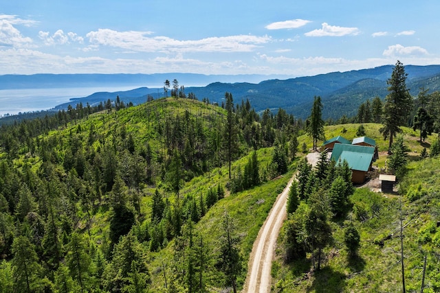 298 Lone Wolf Trl, Lakeside, MT 59922 - view of mountain background featuring a forest